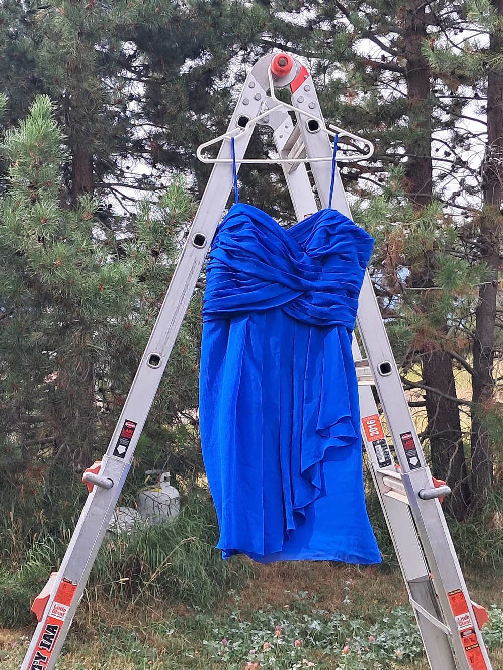 David's Bridal Royal Blue Strapped Mini Dress with Ruching
